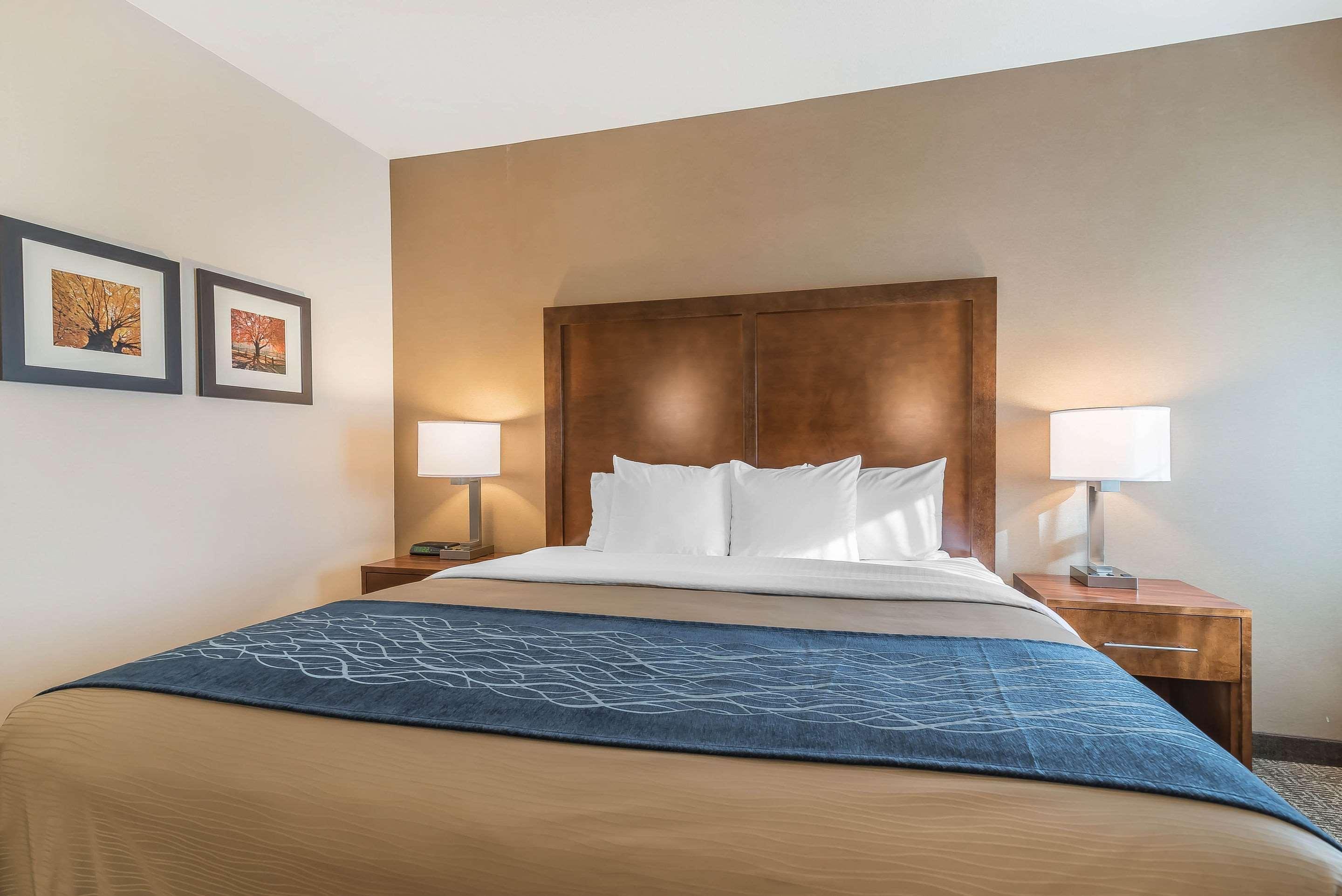 קונקורד Comfort Inn מראה חיצוני תמונה