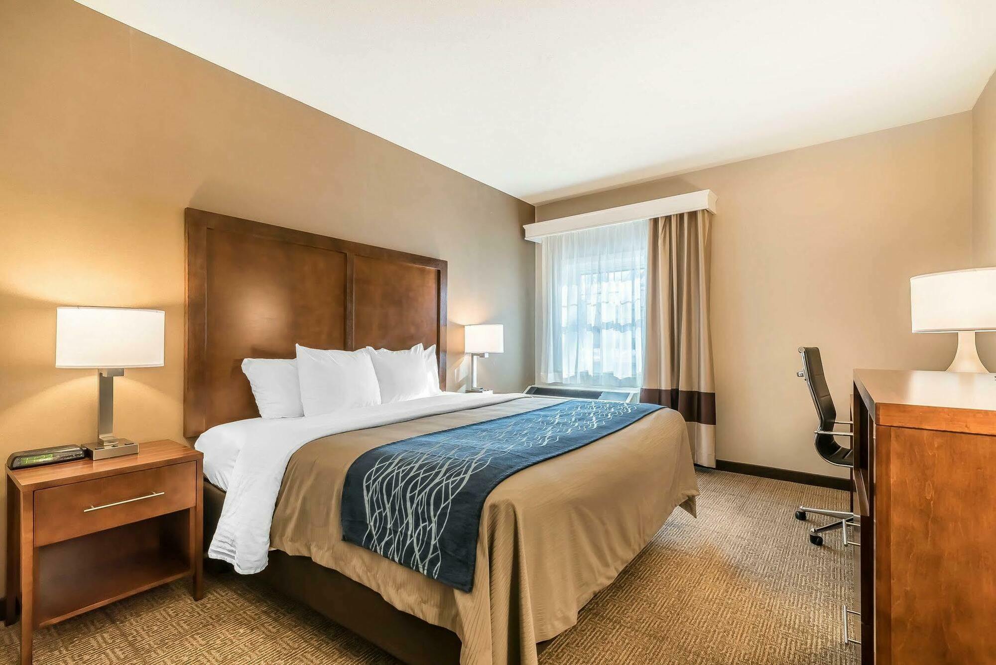 קונקורד Comfort Inn מראה חיצוני תמונה